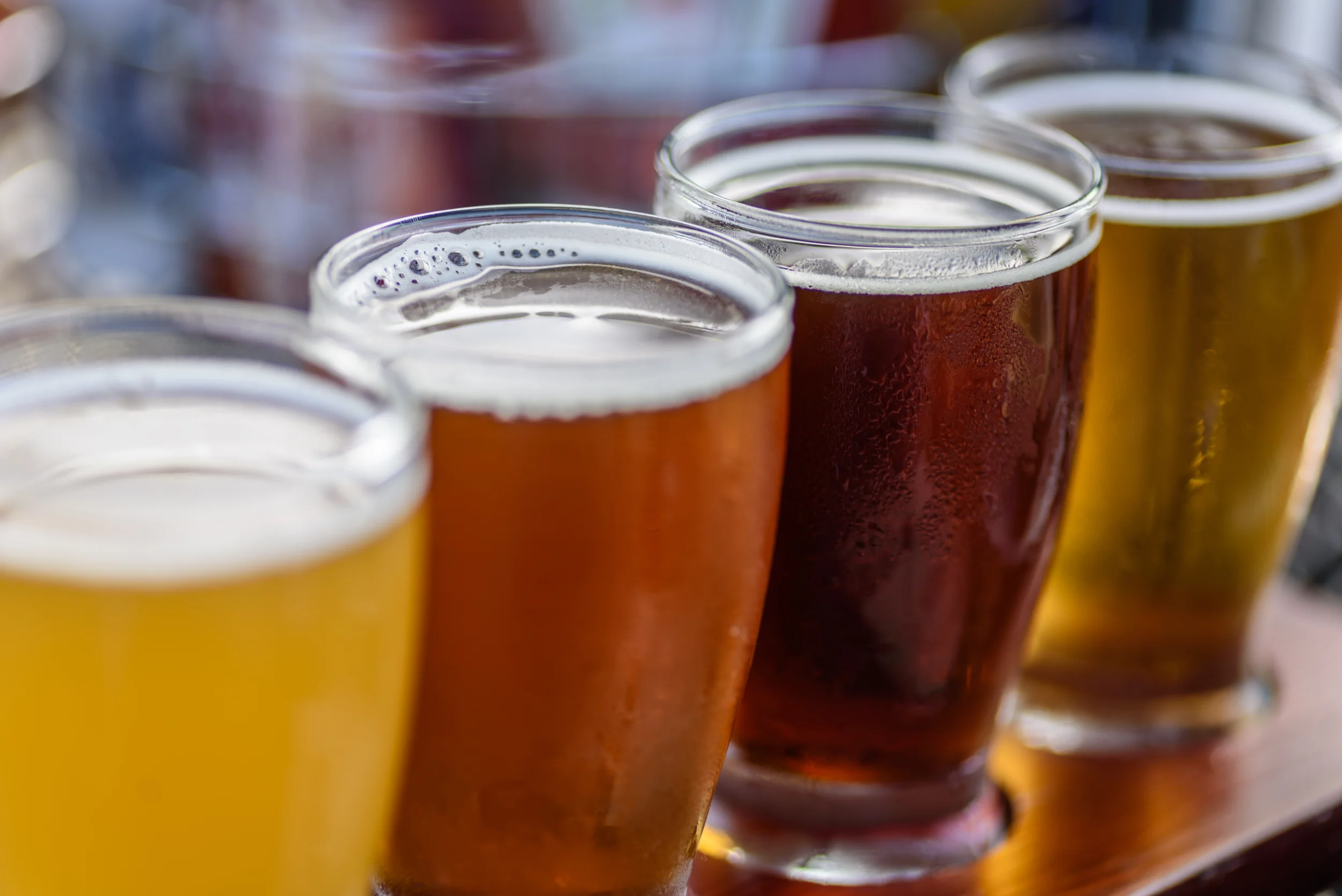 row of beers found in breweries in kentucky