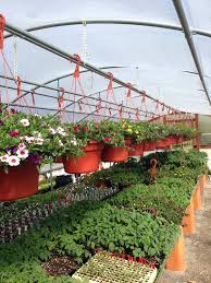 Barnes Family Greenhouse