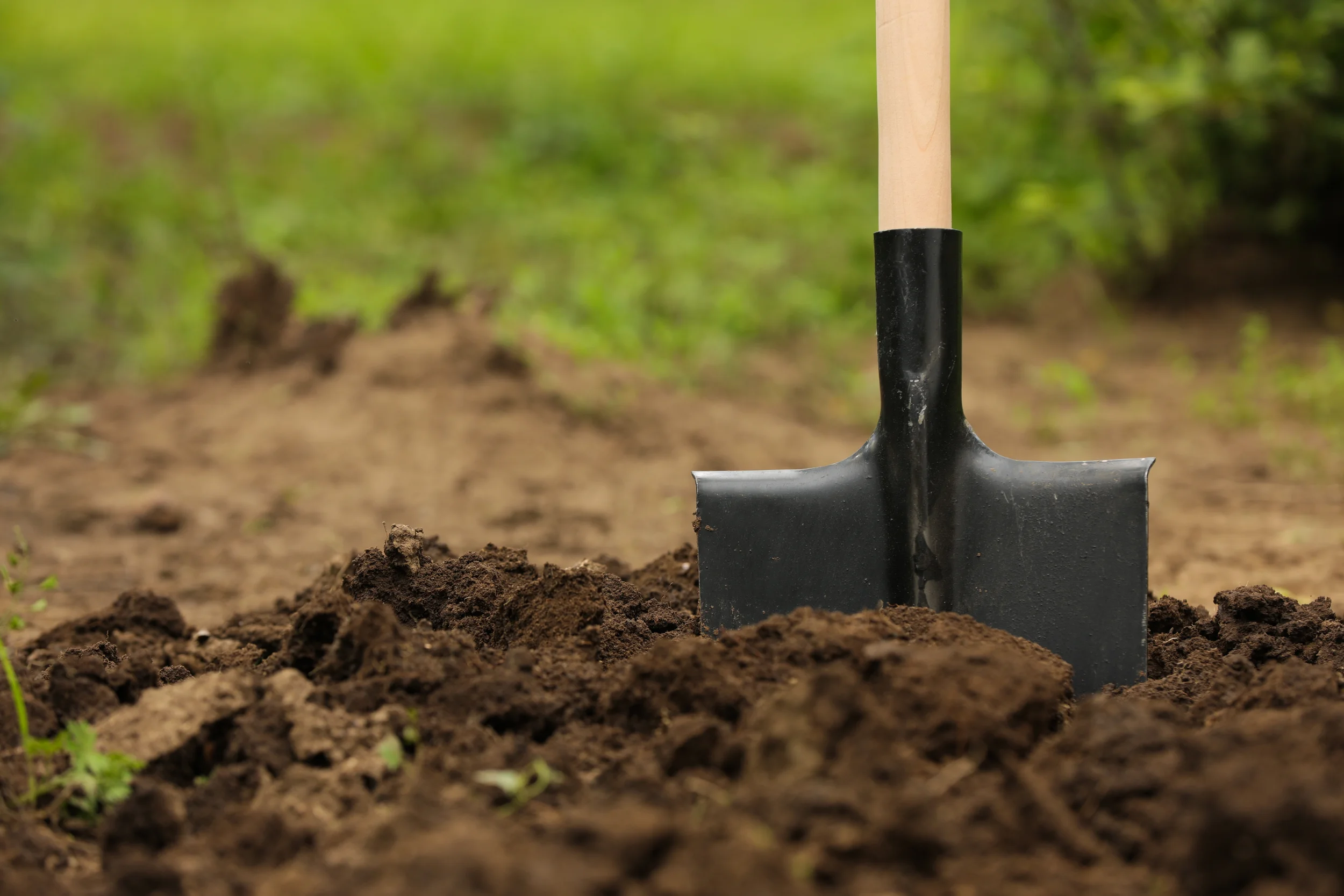 the history of bourbon in kentucky breaking soil with a shovel