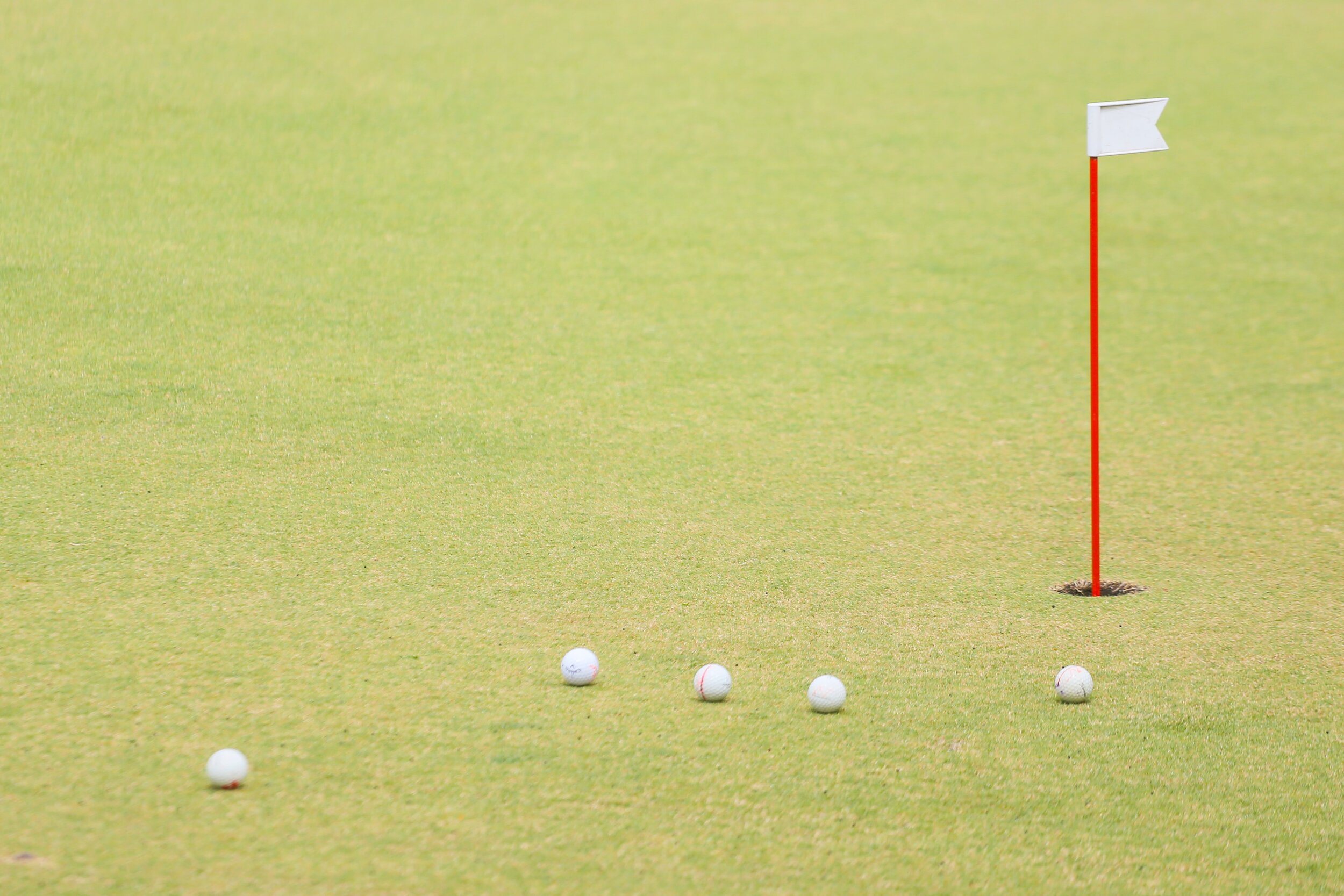 best disc golf courses in kentucky
