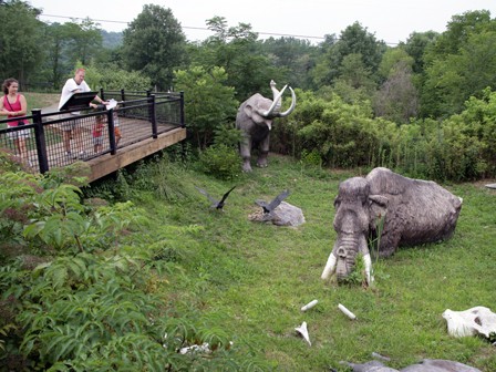 Big Bone Lick State Park - Salt and Mastodons