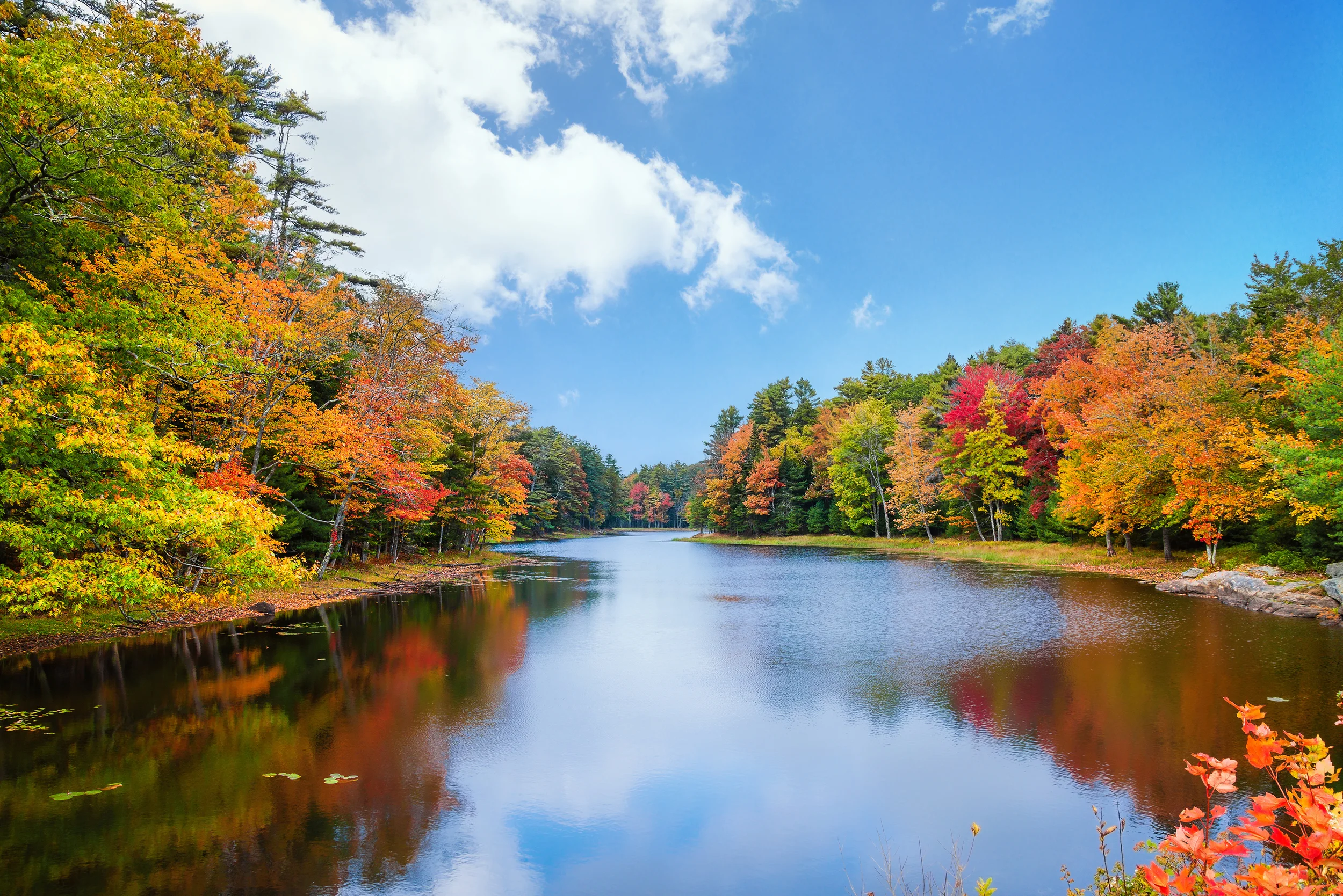 fall foliage in kentucky 