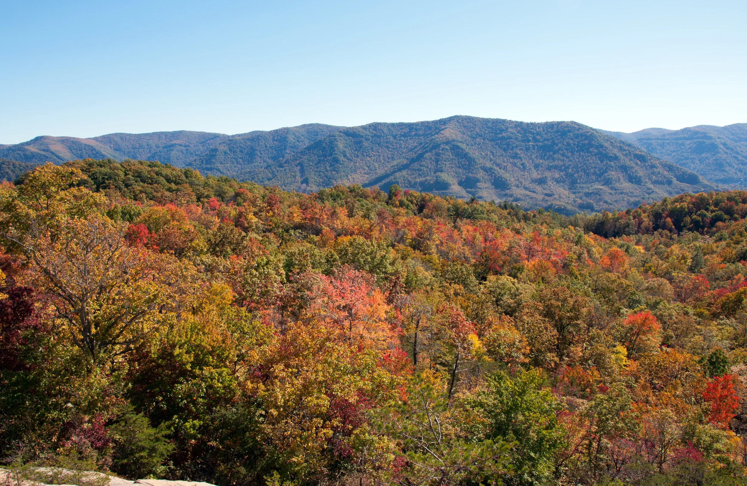 fall foliage in kentucky