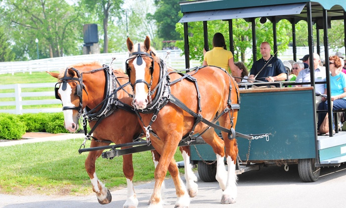 Kentucky Horse Park